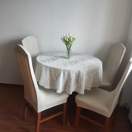 Spacious 2br Apt, 2 Min To Metro, Direct Airport Line Appartement